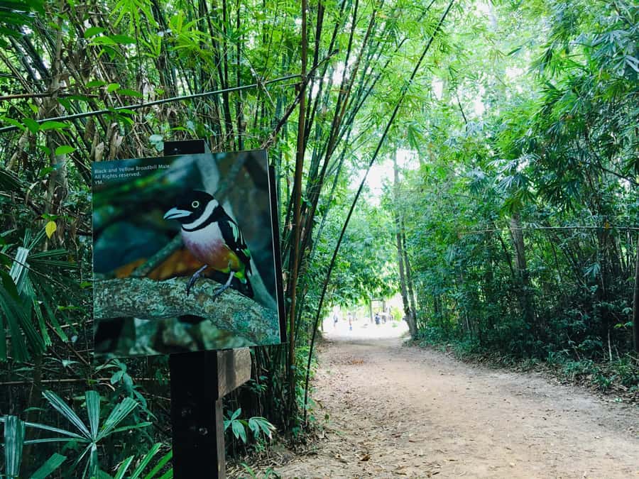 Krabi: Emerald Pool and Hot Spring Waterfall with ATV Riding - The price looks fair only if the full package runs properly