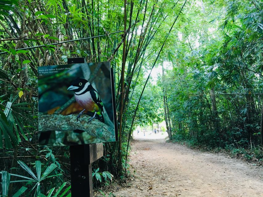Krabi: Emerald Pool and Hot Springs Waterfall Half-Day Trip - Practical packing advice