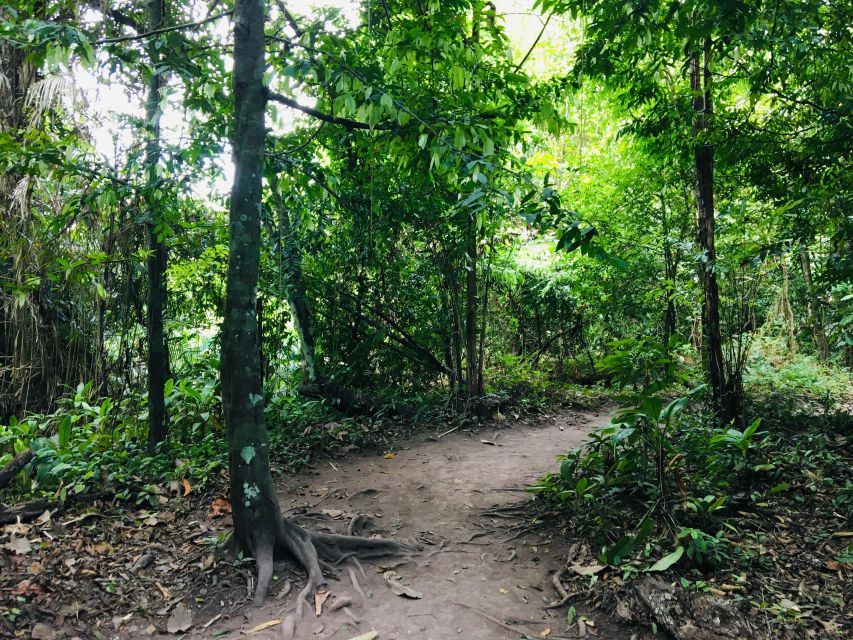 Krabi: Emerald Pool and Hot Springs Waterfall Half-Day Trip - Pickup from Krabi and the road to the reserve