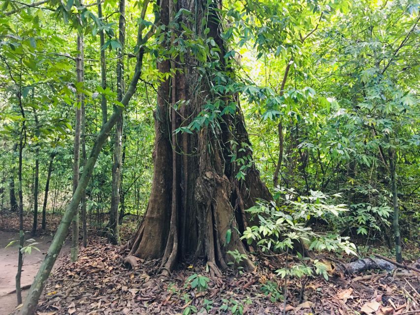 Krabi: Emerald Pool and Hot Springs Waterfall Half-Day Trip - Guide commentary and the role of the group