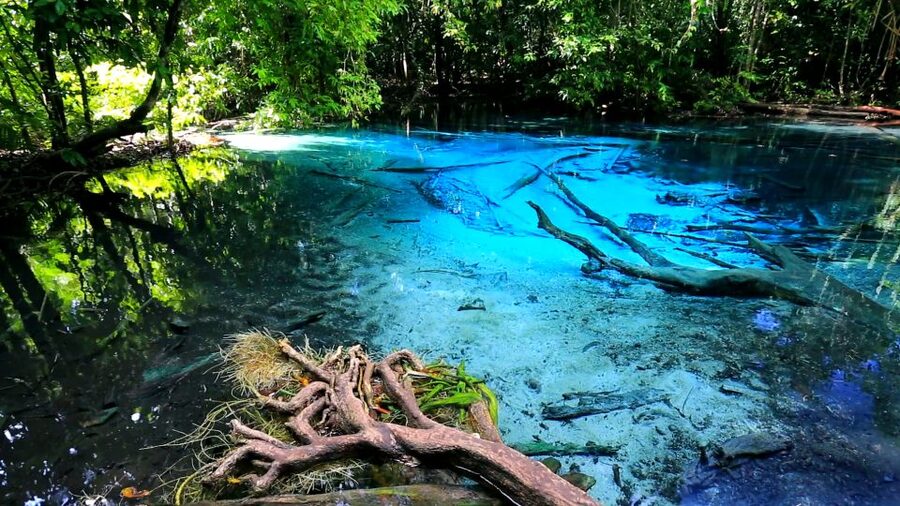 Krabi: Emerald Pool and Hot Springs Waterfall Half-Day Trip - The schedule problem you should plan around