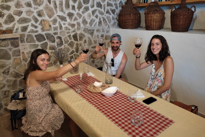 Krka National Park Tour with tour Guide & Wine tasting from Split & Trogir - Free time, swimming, and lunch in Skradin