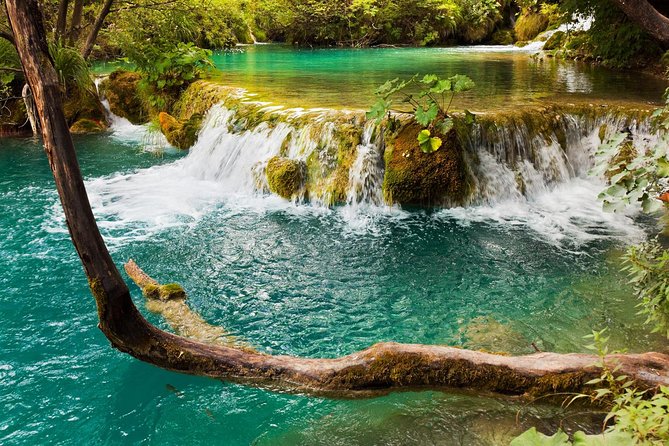 Krka Waterfalls & Primošten from Trogir, Seget, Čiovo & Kaštela - Drivers, group size, and the feel of the ride