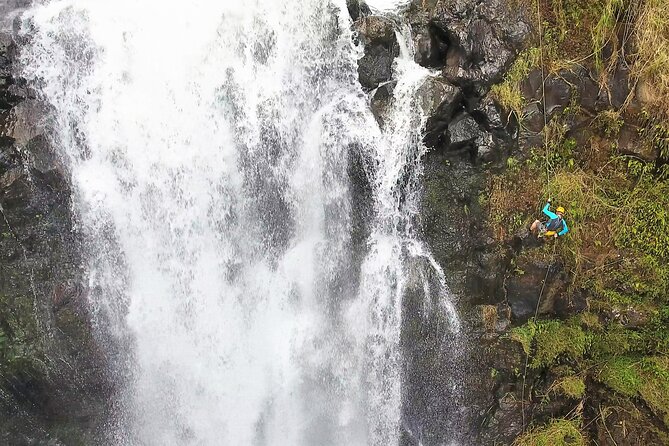 Kulaniapia Falls Daypass with Activity Discount - Timing, arrival, and the narrow road