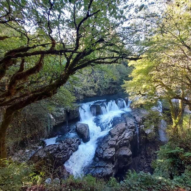 Kutaisi: Okatse-Martvili Canyons,Prometheus Cave, Waterfalls - Ogueshi Waterfall and a chance to swim