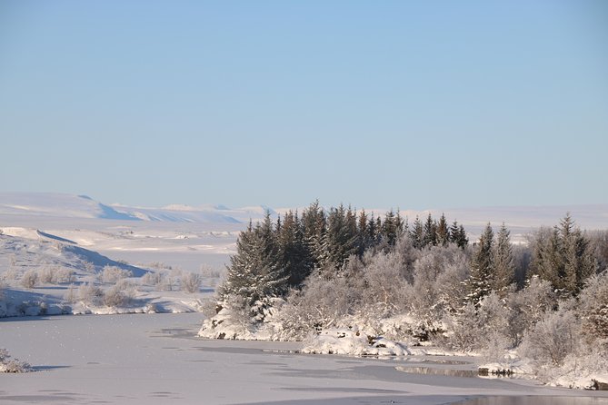 Lake Mývatn and Powerful Dettifoss Day Tour from Akureyri - Dettifoss brings the day’s greatest force