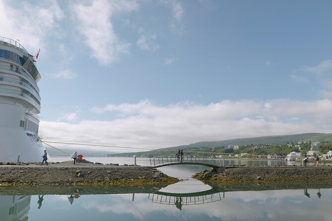 Lake Mývatn & Goðafoss Waterfall from Akureyri Port - Hverir and the boiling ground at Námafjall