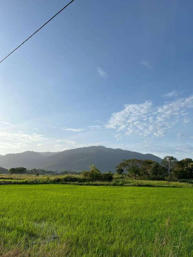 Langkawi: Countryside Bike Tour, Waterfall Swim & Dessert - Why this 2.5-hour ride feels different from a standard sightseeing tour