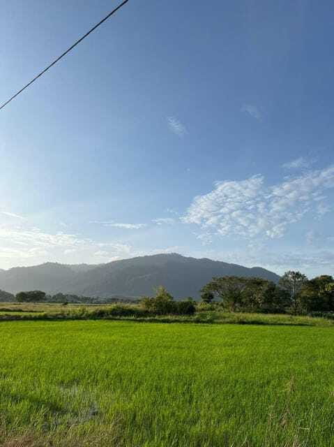 Langkawi: Countryside Bike Tour, Waterfall Swim & Dessert - Who should book this Langkawi countryside tour?