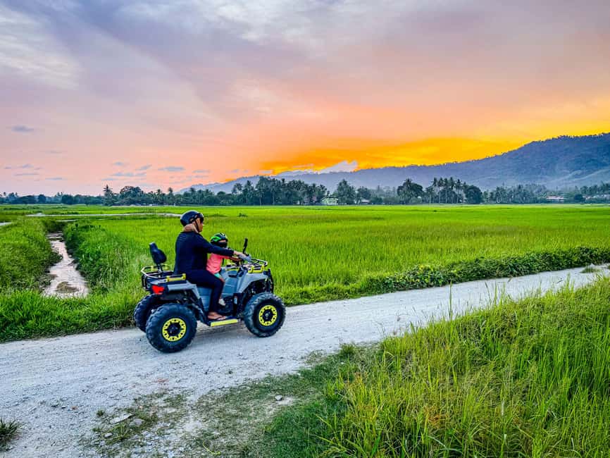 Langkawi Jungle and Waterfall Adventure (Golden Hour) - Paddy fields, farms, and the return route