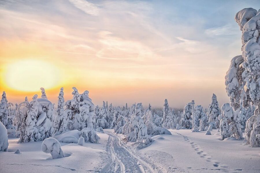 Lapland: The Frozen Waterfalls of Korouoma Tour - What the guides add to the day