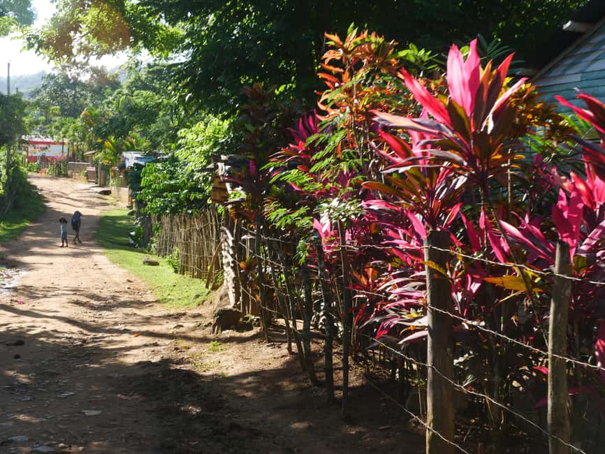 Las Terrenas: El Limón Waterfall Trekking Tour in Samana - Key points at a glance