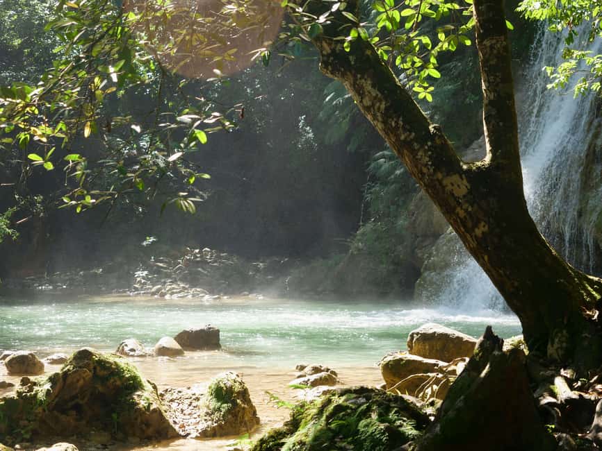 Las Terrenas: El Limón Waterfall Trekking Tour in Samana - Transport, comfort, and the $65 price