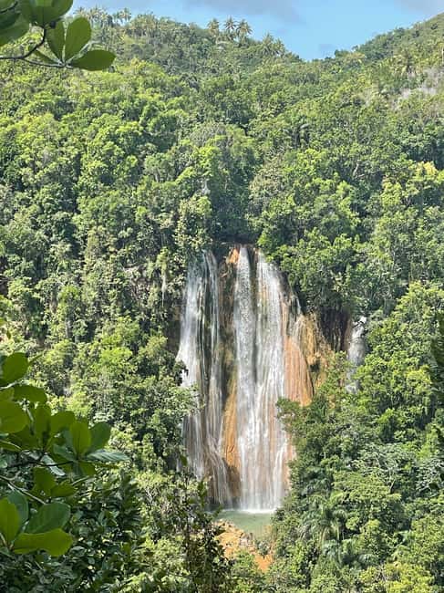 Las Terrenas: El Limón Waterfall Trekking Tour in Samana - The jungle route through cacao and coffee country