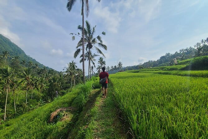 Lemukih Hidden Trekking Waterslide Sekumpul and Fiji Waterfall - Walking through rice terraces and forest