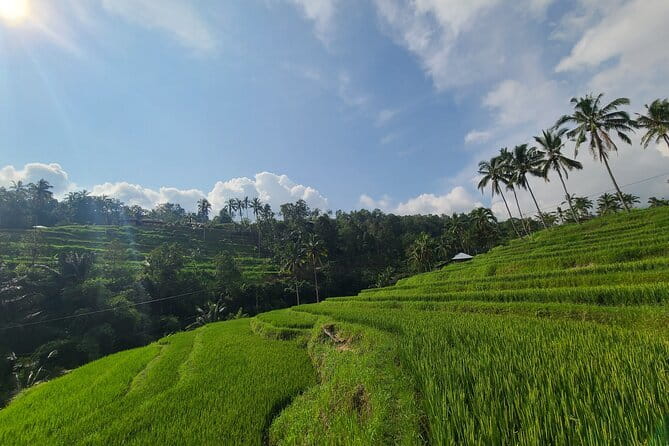 Lemukih Hidden Trekking Waterslide Sekumpul and Fiji Waterfall - The Lemukih waterslide and water jumps