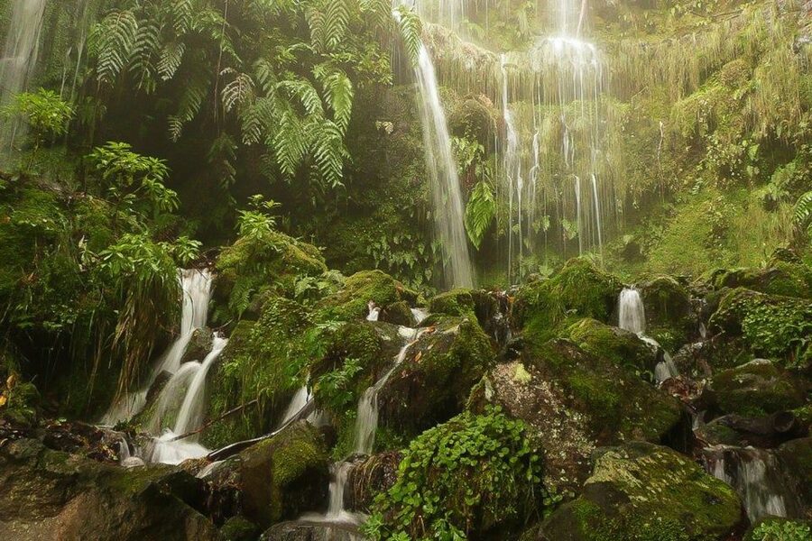 Levada Walk and Caldeirao Verde Waterfalls: Madeira - Why Caldeirão Verde makes a memorable Madeira walk