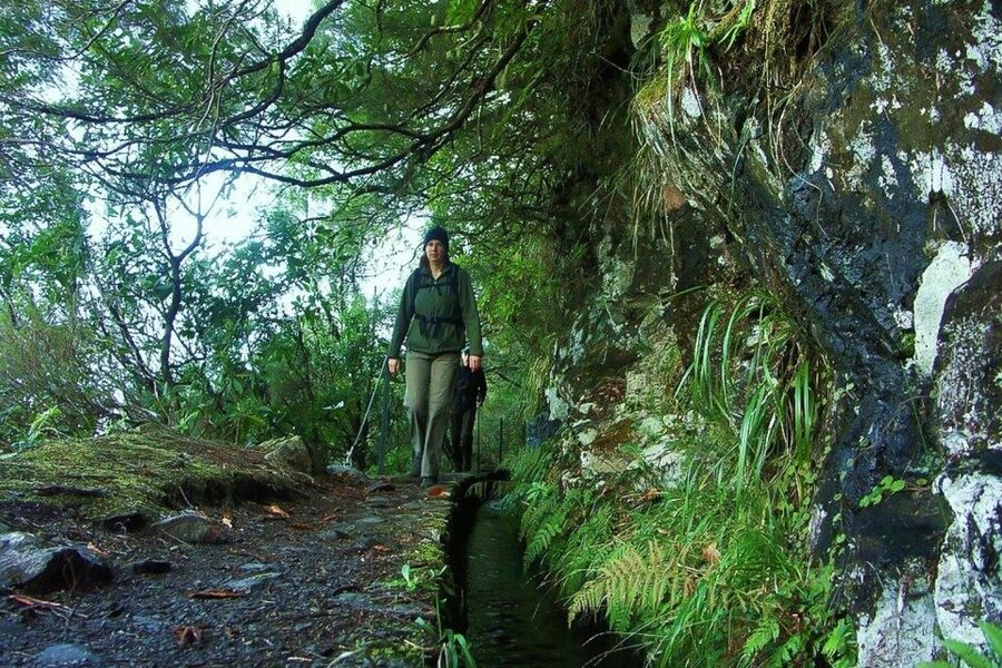 Levada Walk and Caldeirao Verde Waterfalls: Madeira - Tunnels, wet stone, and narrow edges