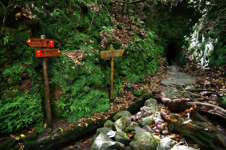 Levada Walk and Caldeirao Verde Waterfalls: Madeira - The return walk and the group pace