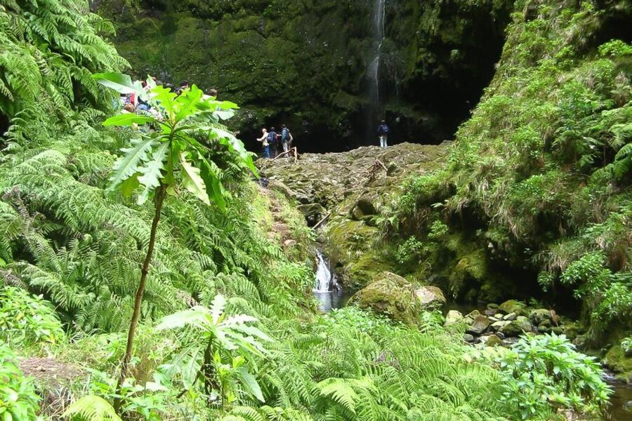 Levada Walk and Caldeirao Verde Waterfalls: Madeira - Forest paths, levadas, and views toward Santana