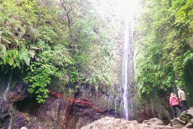 Levada & Waterfalls Hike 25 Fountains, Rabaçal, Risco more Challenging Walk - What your guide adds to the day