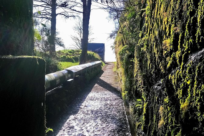 Levada & Waterfalls Hike 25 Fountains, Rabaçal, Risco more Challenging Walk - Who should book this walk?