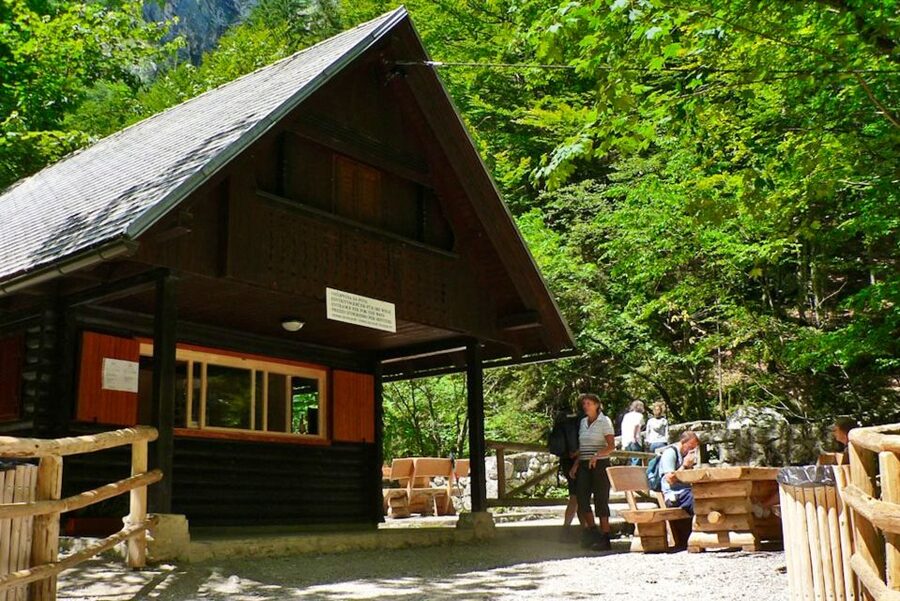 Ljubljana: Savica Waterfall, Lake Bohinj, and Lake Bled Tour - Savica Waterfall and the first uphill test