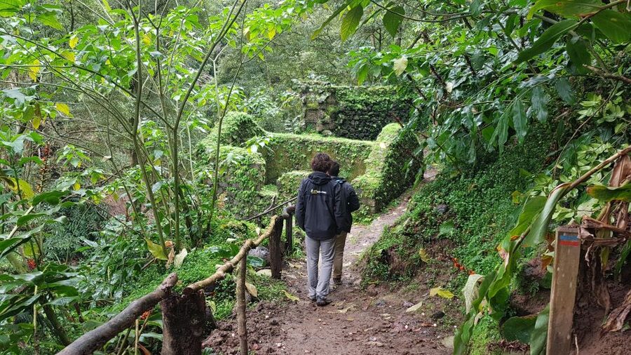 Lomba de São Pedro: Waterfall Hiking Tour with Tea Tasting - Key points at a glance