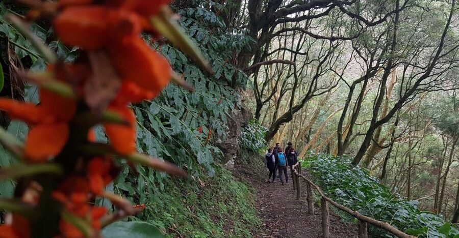 Lomba de São Pedro: Waterfall Hiking Tour with Tea Tasting - Who should book, and who should skip it