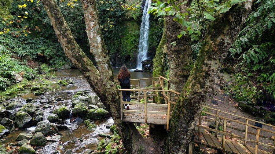Lomba de São Pedro: Waterfall Hiking Tour with Tea Tasting - The stair climb back through Lomba de São Pedro