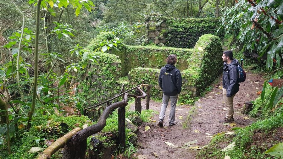 Lomba de São Pedro: Waterfall Hiking Tour with Tea Tasting - Picnic lunch and Ribeira dos Caldeirões