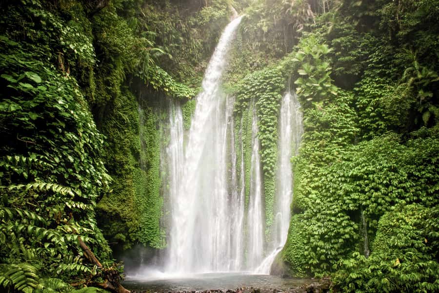 Lombok Spectacular: Waterfalls, Selong Hill & Pusuk Sembalun - Pusuk Sembalun and the mountain road