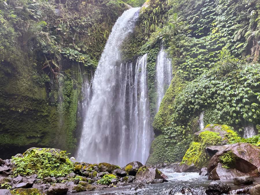 Lombok Spectacular: Waterfalls, Selong Hill & Pusuk Sembalun - Who should book this route