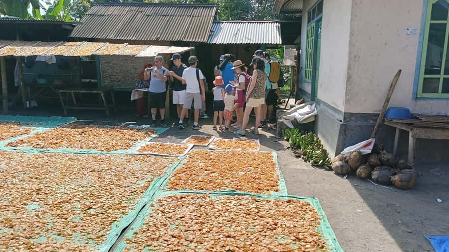 Lombok: Tetebatu Walking Tour with Monkey Forest & Waterfall - Meeting Sasak families and seeing local customs