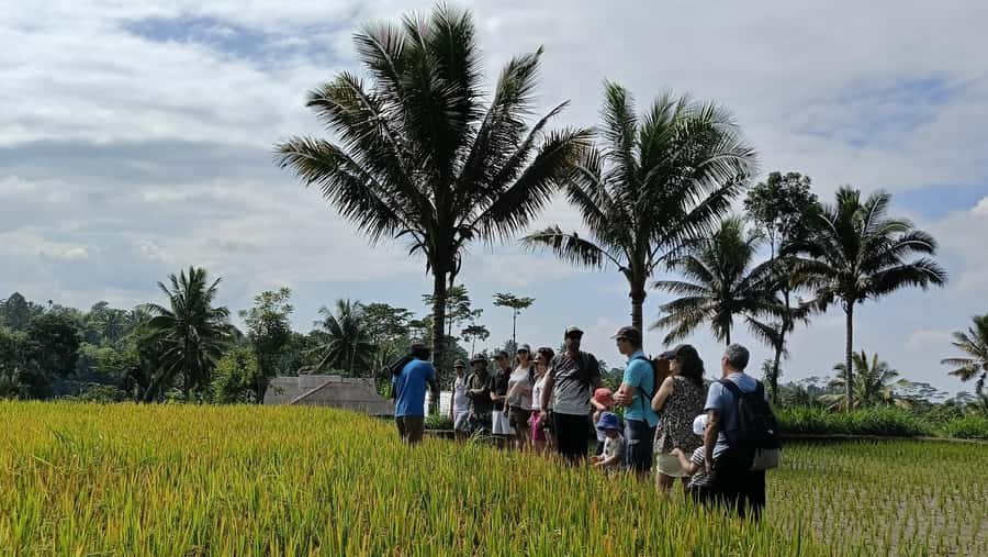 Lombok: Tetebatu Walking Tour with Monkey Forest & Waterfall - Spice gardens and a traditional coffee tasting