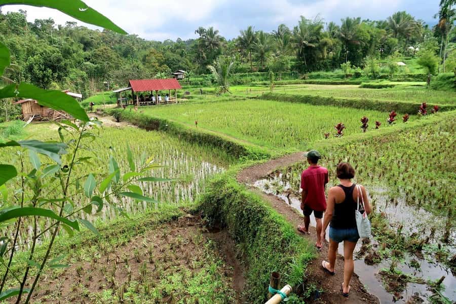 Lombok: Tetebatu Walking Tour with Monkey Forest & Waterfall - Lunch at a local home