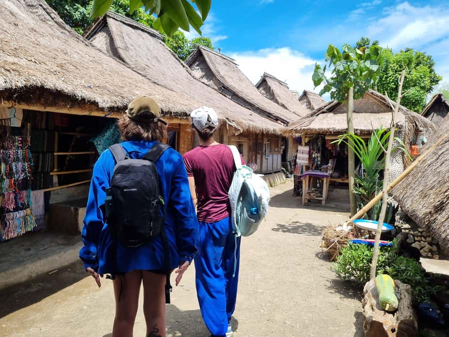 Lombok: Waterfall and Traditional Village Private Tour - Who should book this tour