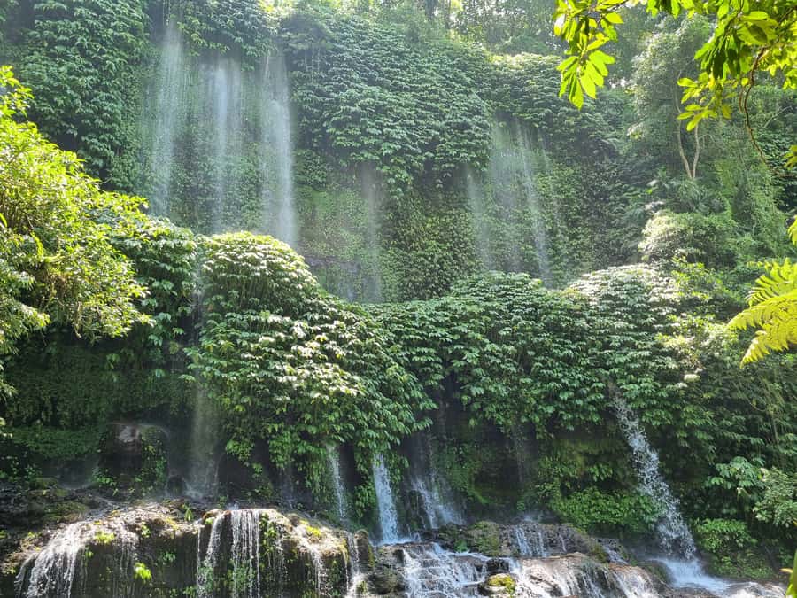 Lombok: Waterfall and Traditional Village Private Tour - Should you book it?