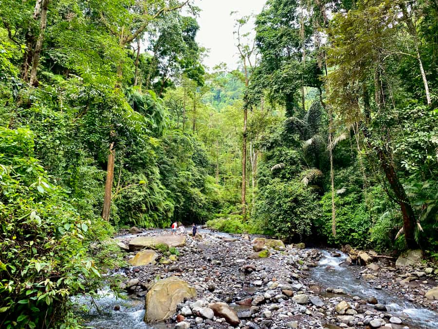 Lombok Waterfall Tour and Panorama Walk - Is $49 good value for a full day?