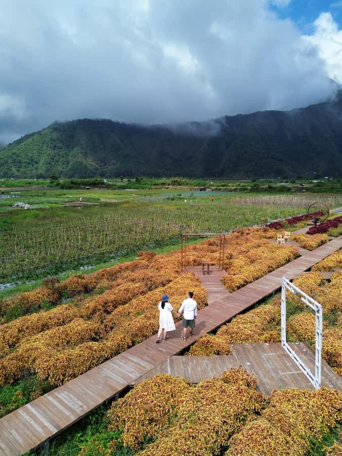 Lombok Waterfalls & Mountain Views Full-Day Tour - Lunch in the Sembalun Highlands