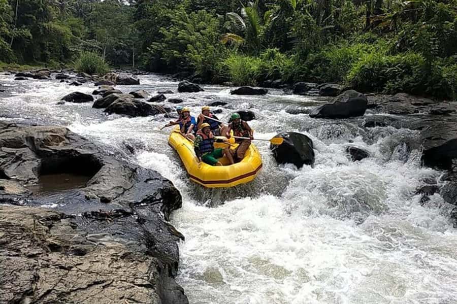 Lombok: White Water Rafting, Rice Terrace & Waterfall Tour - Key points to know before booking