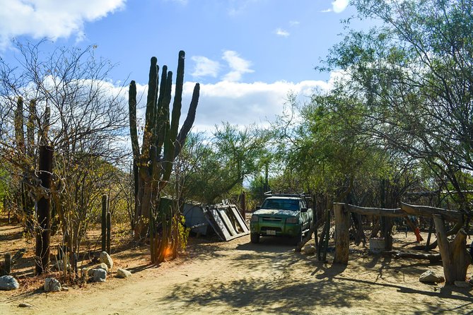 Los Cabos: Hiking at the Fox Canyon with Waterfall - Waterfalls, pools, and the desert’s best surprise
