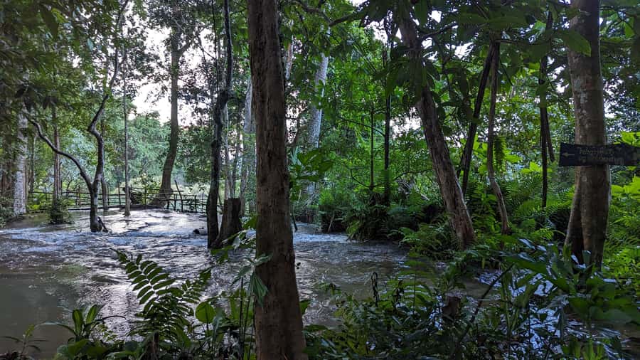 Luang Prabang: Full Day Trek to Kuang Si Waterfall & Village - Four hours through fields, orchards, and forest