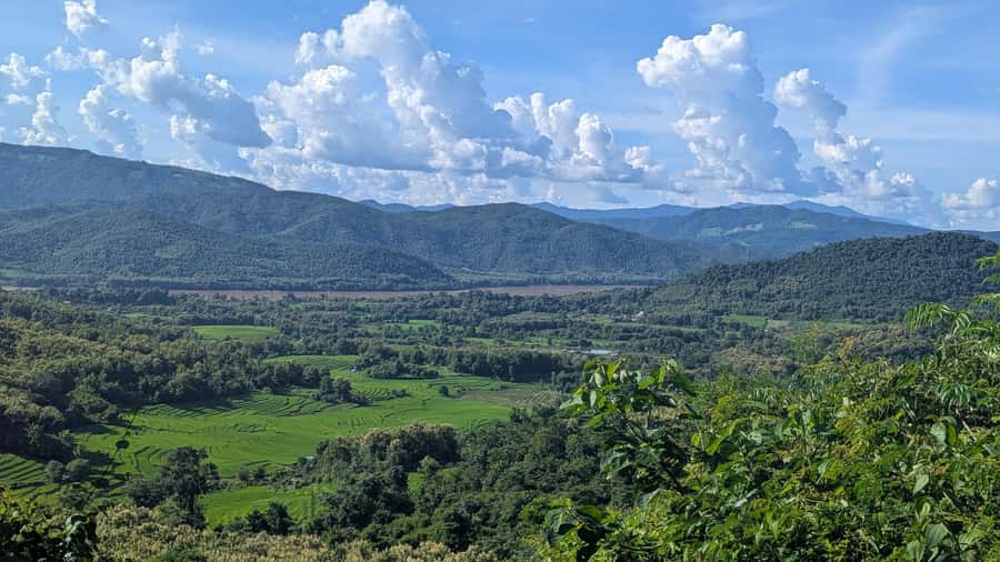 Luang Prabang: Full Day Trek to Kuang Si Waterfall & Village - The Bear Rescue Center and the waterfall reserve