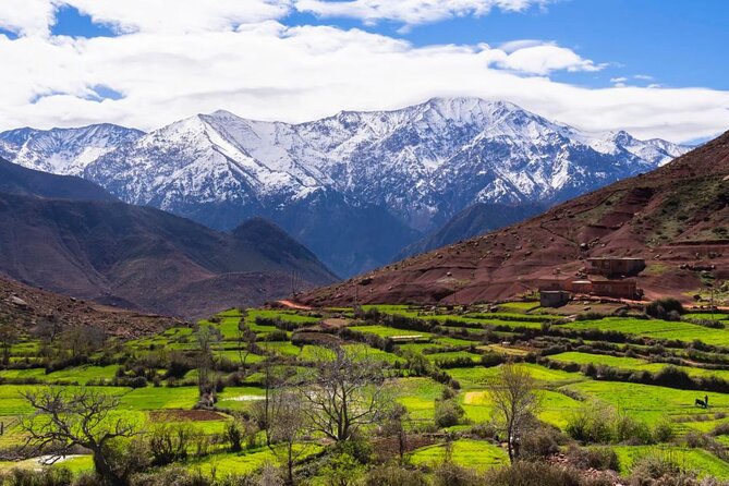 Lunch in the High Atlas: Ourika Valley Waterfalls & 3 Valleys - Dinner at the desert camp