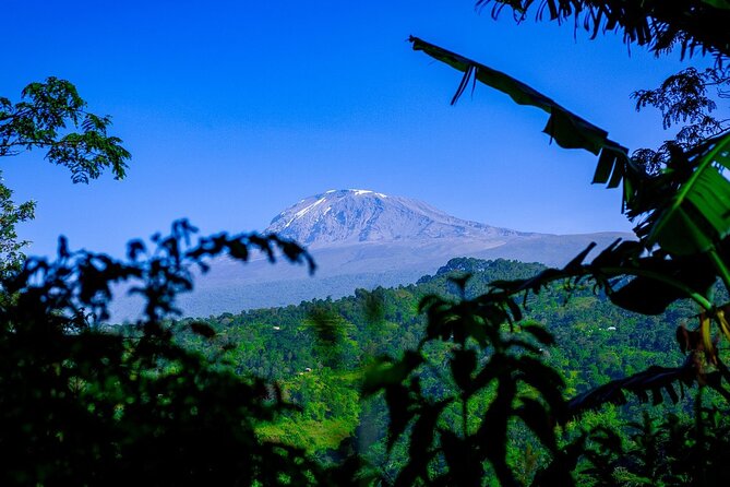 Maasai village visit, Materuni waterfalls & coffee experience - Hiking to Materuni Waterfalls