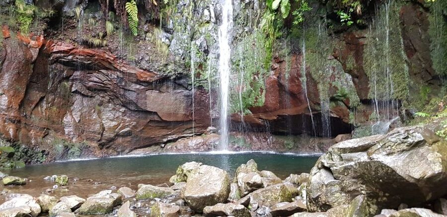 Madeira: Mountain Walk with Lagoon and Waterfalls - What the eight-hour day actually looks like