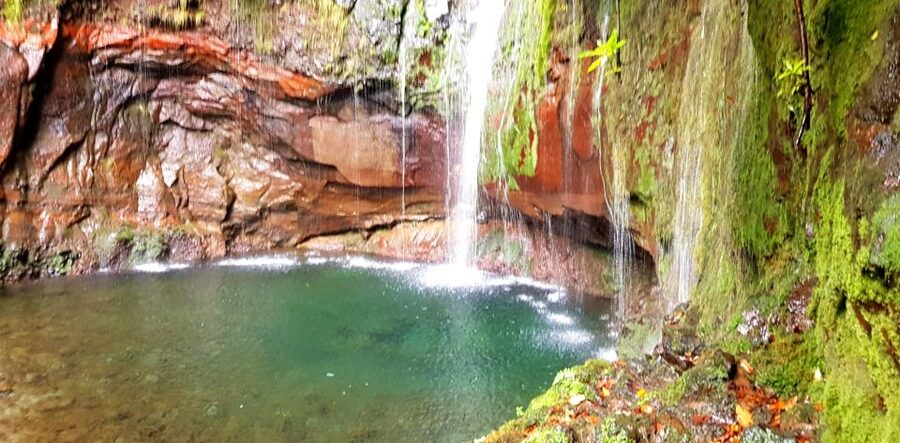 Madeira: Mountain Walk with Lagoon and Waterfalls - Risco waterfall adds a second major sight
