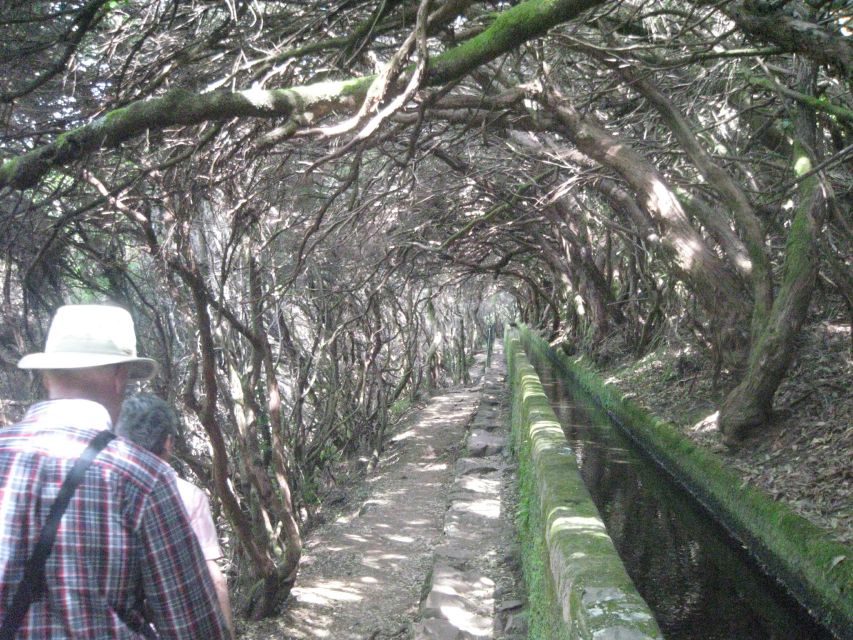 Madeira: Mountain Walk with Lagoon and Waterfalls - Group size can change the feel of the walk