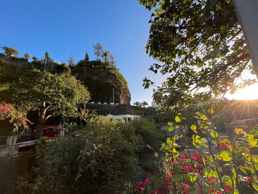 Madeira: Sunny South Side - Cabo Girão, Waterfalls, C. Lobos - Ponta do Sol brings colour and warm weather